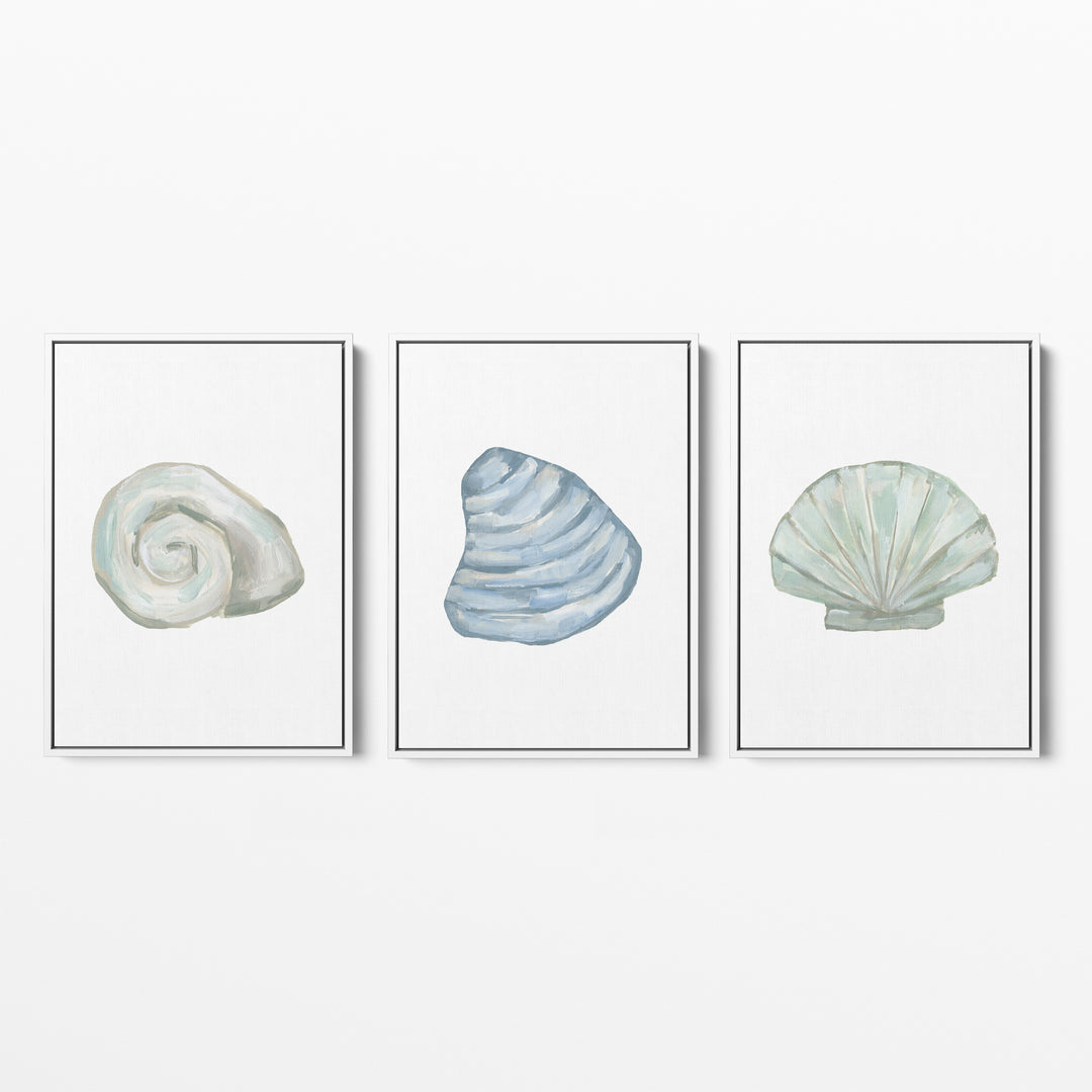 Seashell Trio, No. 2 - Set of 3