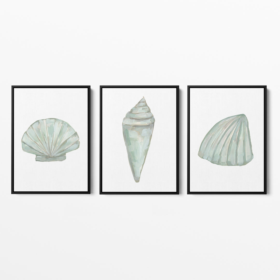 Seashell Trio, No. 1 - Set of 3