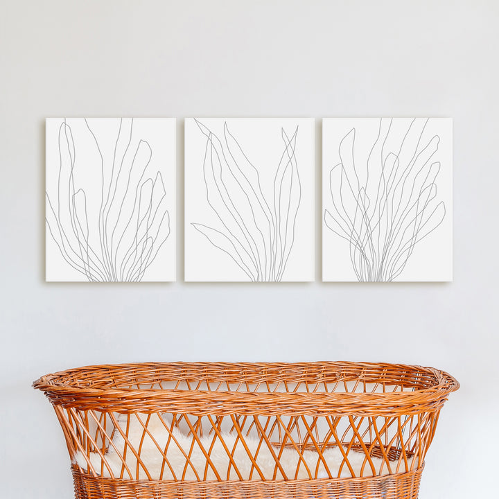 Modern Minimalist Seaweed Illustration - Set of 3