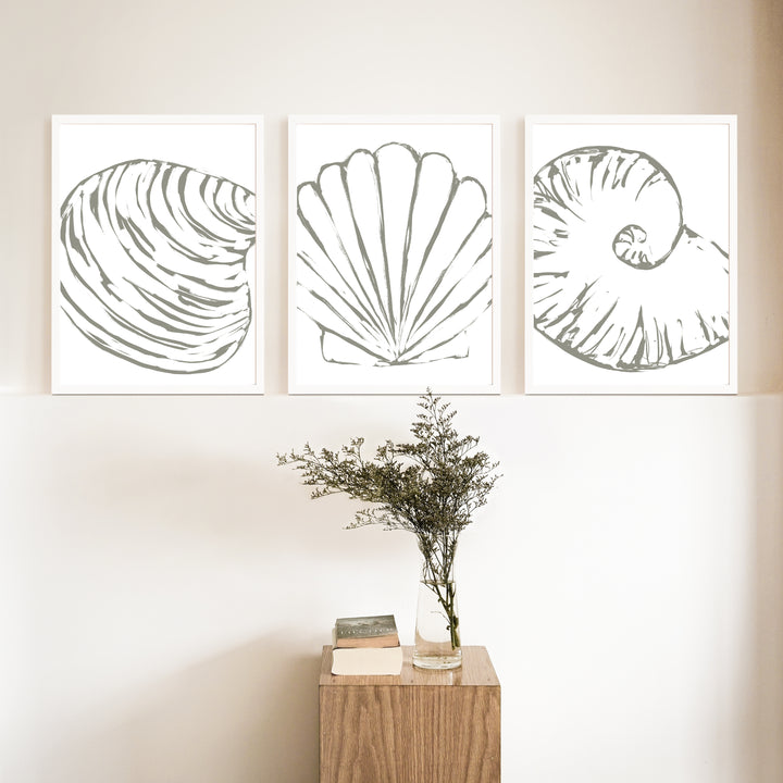 Minimalist Seashell Trio, No. 2 - Set of 3