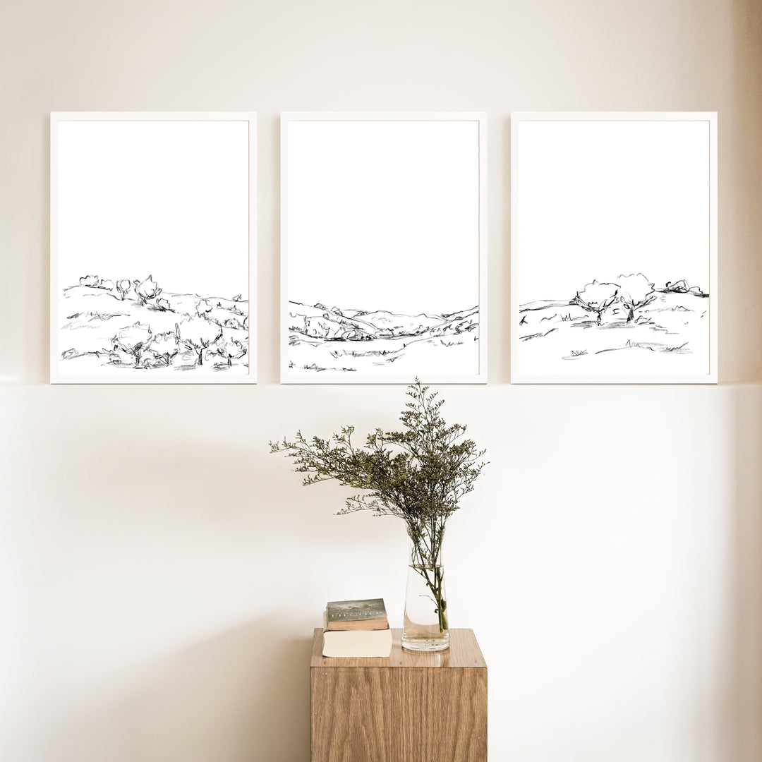 The Hillside Oak Trees - Set of 3