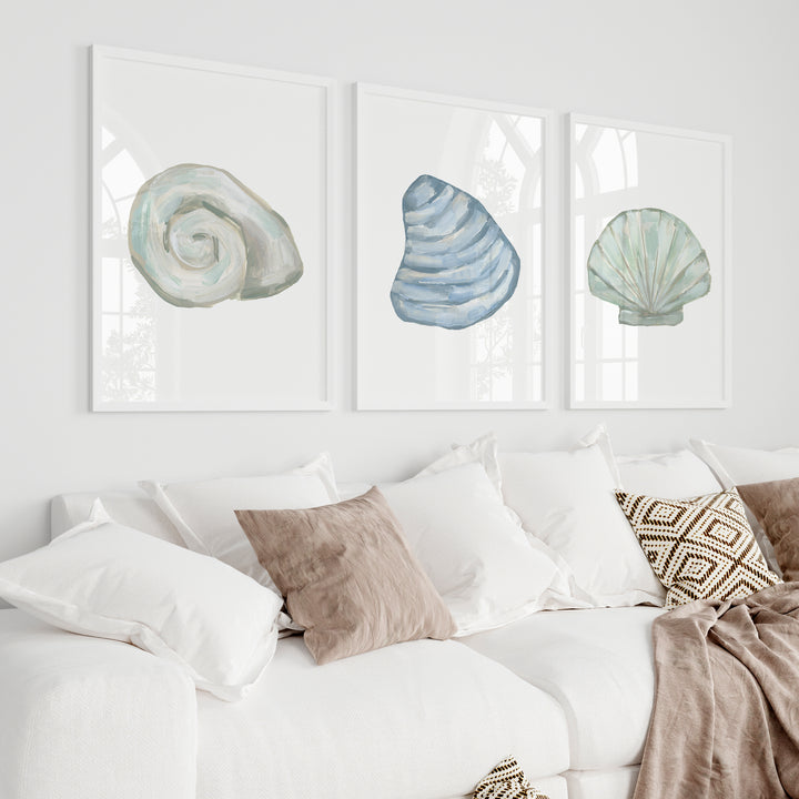 Seashell Trio, No. 2 - Set of 3