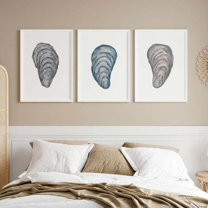 Drifted Mussels Triptych - Set of 3