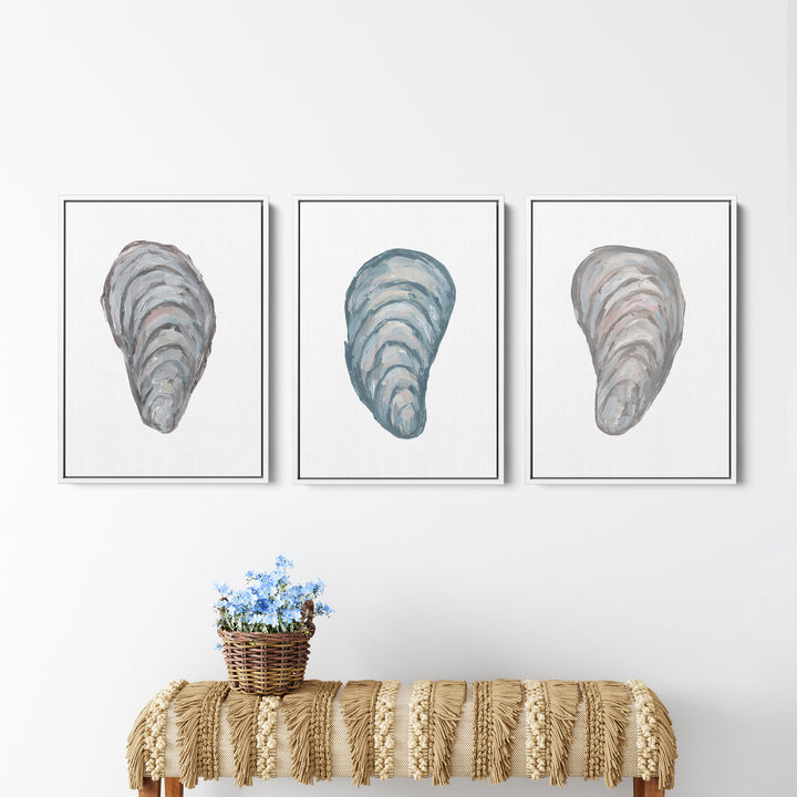 Drifted Mussels Triptych - Set of 3