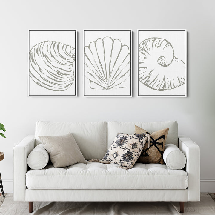 Minimalist Seashell Trio, No. 2 - Set of 3