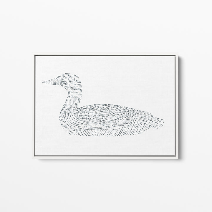 Common Loon Study