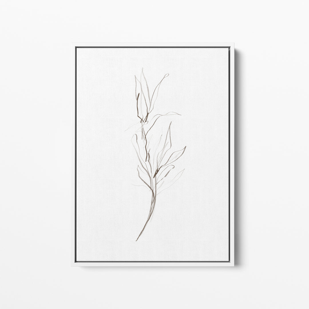 Minimalist Fall Plant Study, No. 1