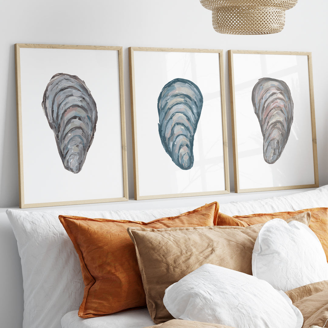 Drifted Mussels Triptych - Set of 3