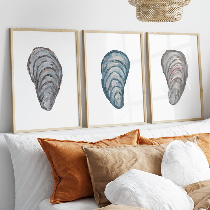 Drifted Mussels Triptych - Set of 3