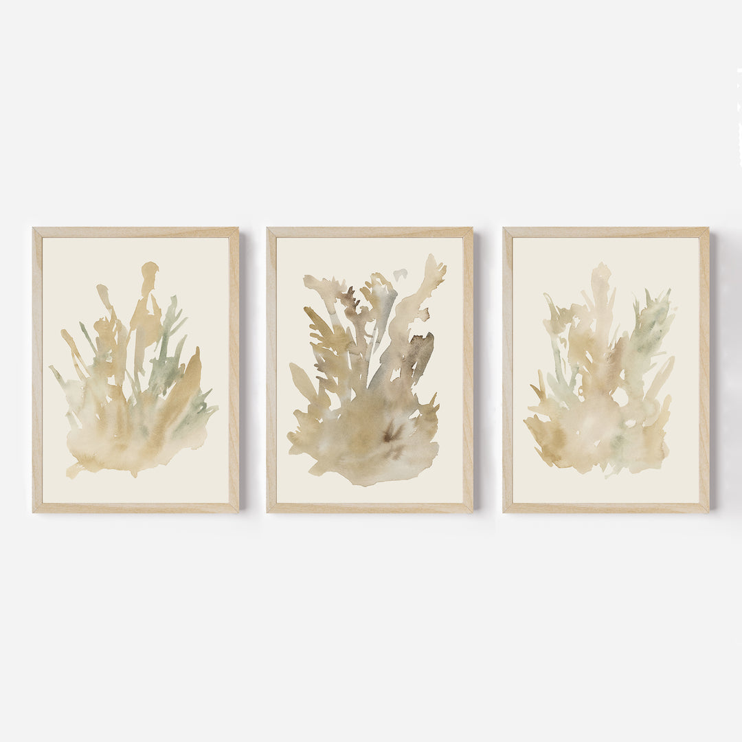 Ethereal Flora Trio - Set of 3