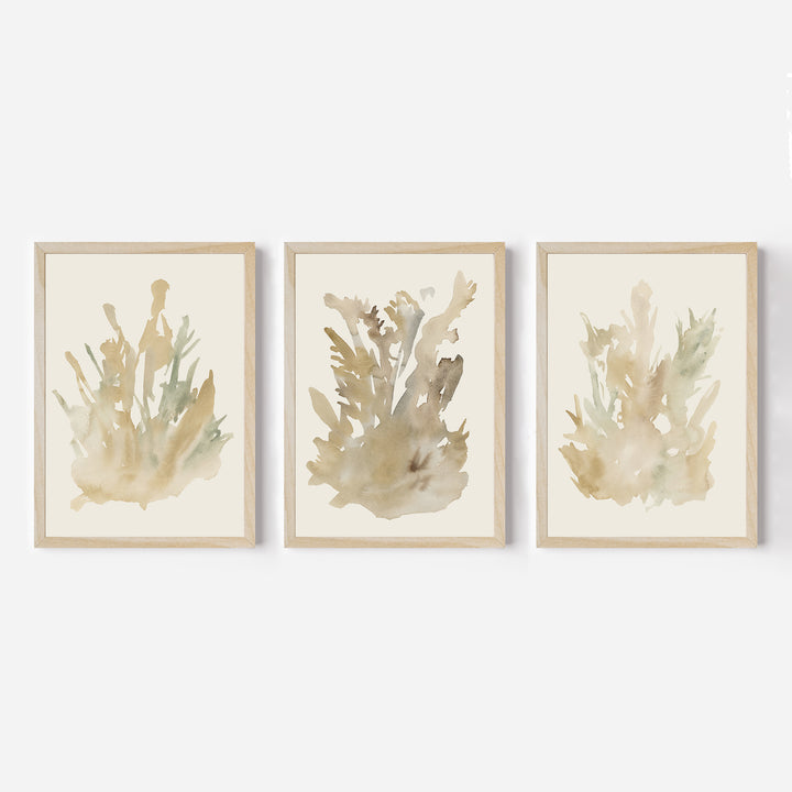 Ethereal Flora Trio - Set of 3