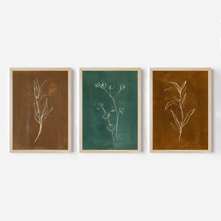 The Cozy Botanicals - Set of 3