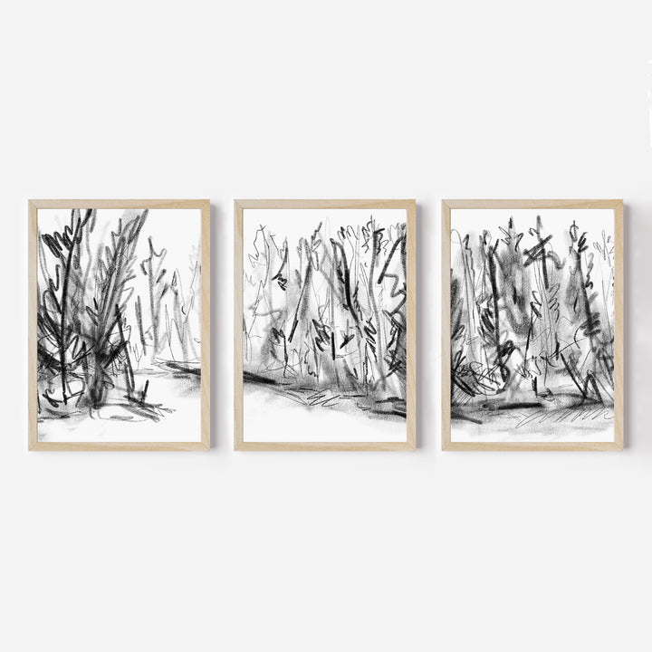 Woods Forest Black and White Sketch - Set of 3