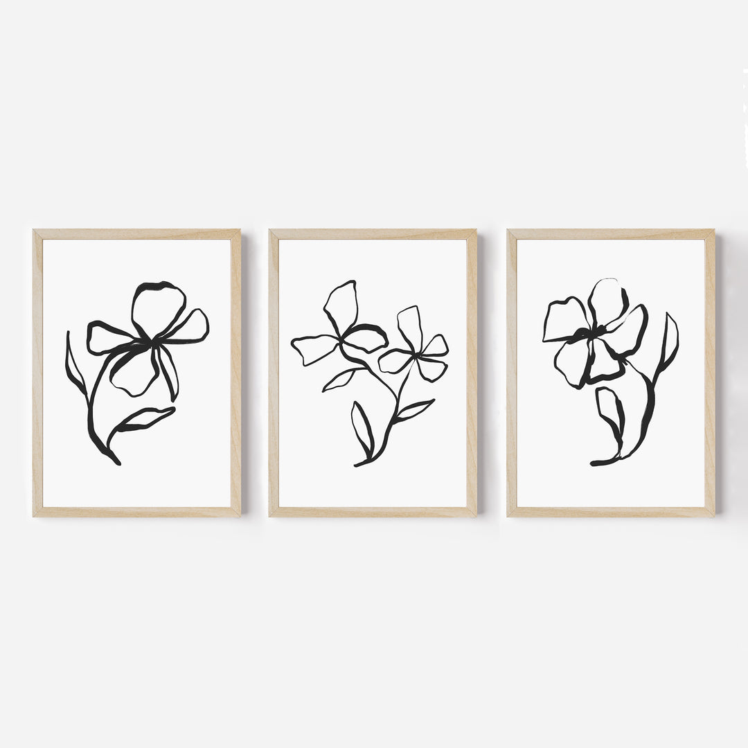 Plant Line Drawings - Set of 3