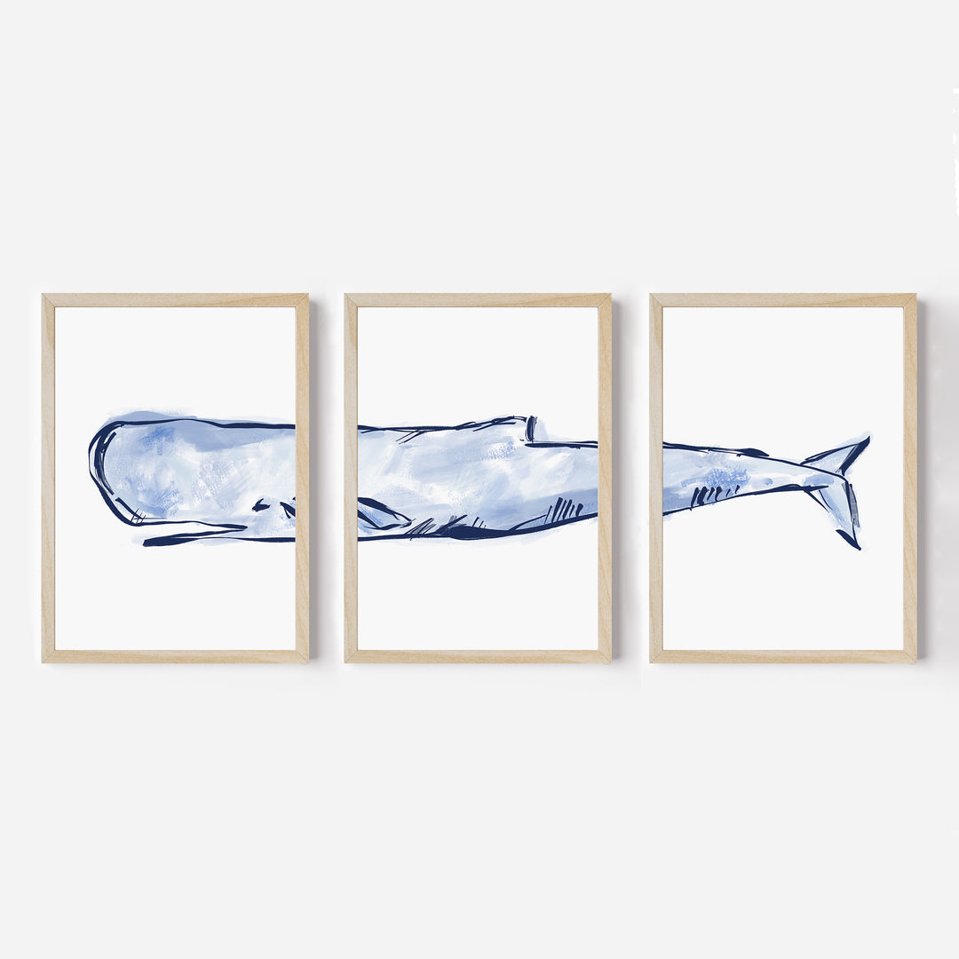 The Nautical Sperm Whale Triptych - Set of 3 - Jetty Home