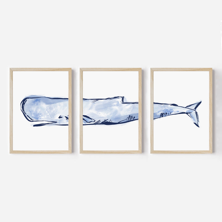 The Nautical Sperm Whale Triptych - Set of 3 - Jetty Home