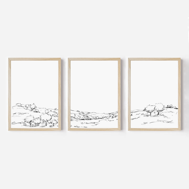 The Hillside Oak Trees - Set of 3