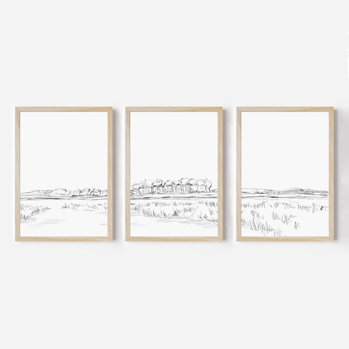 The Lowcountry - Set of 3