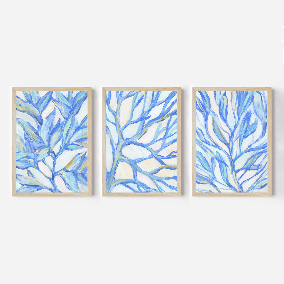 Seaweed Blues - Set of 3