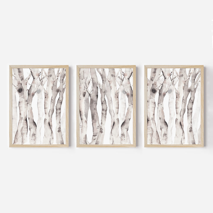 Modern Aspen Birch Tree Watercolor - Set of 3