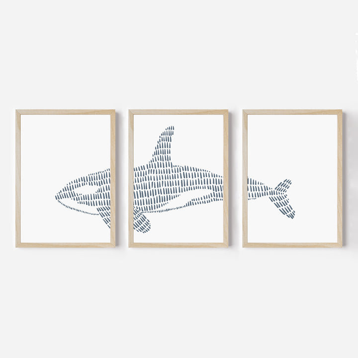 Orca Whale Illustration - Set of 3