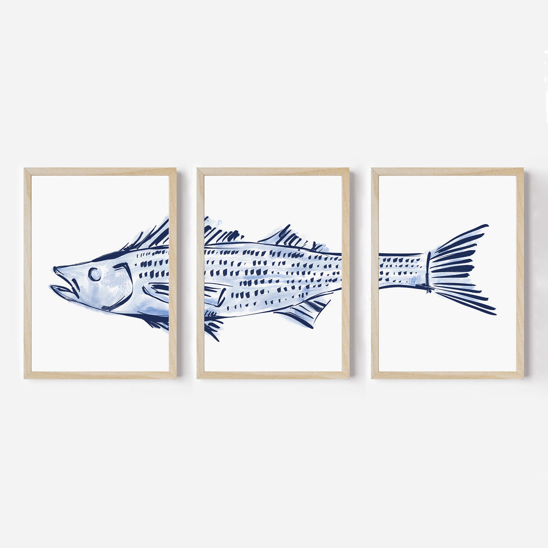 Striped Bass Triptych - Set of 3 - Jetty Home