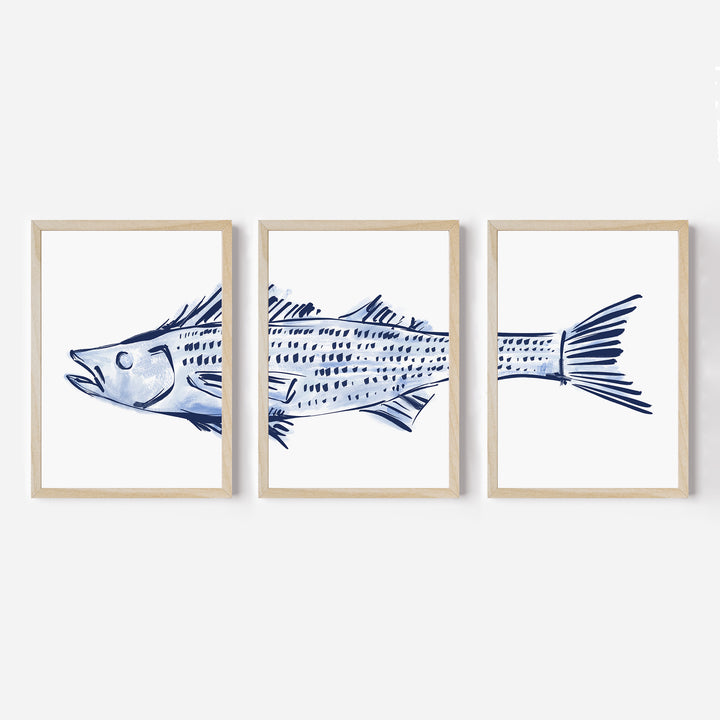 Striped Bass Triptych - Set of 3 - Jetty Home