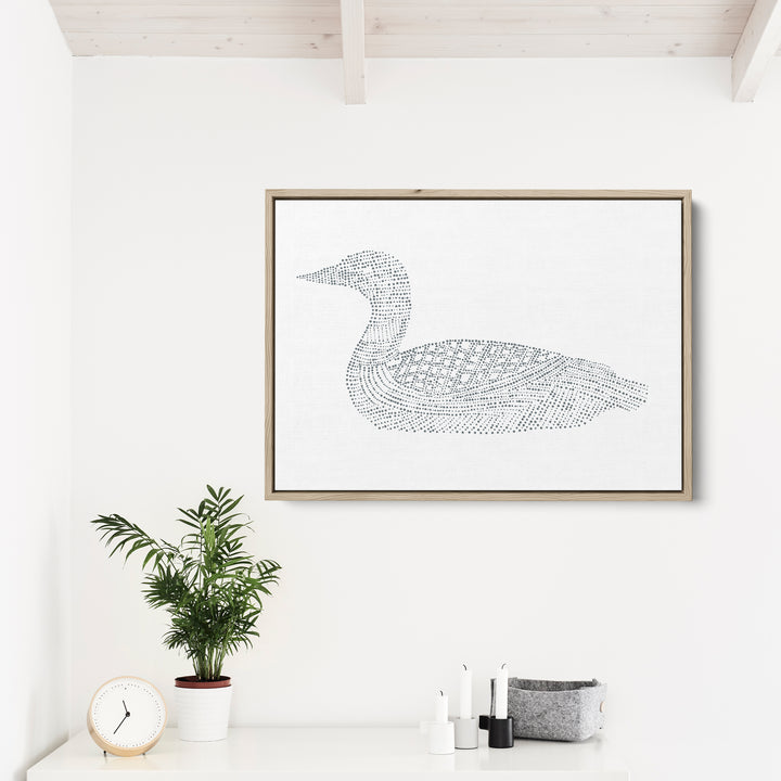 Common Loon Study