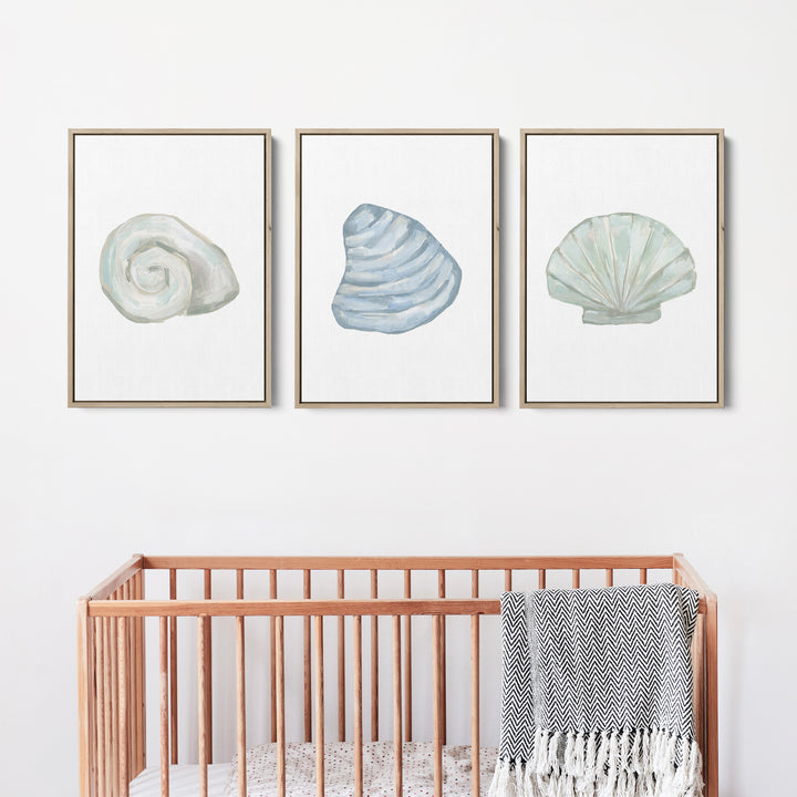 Seashell Trio, No. 2 - Set of 3