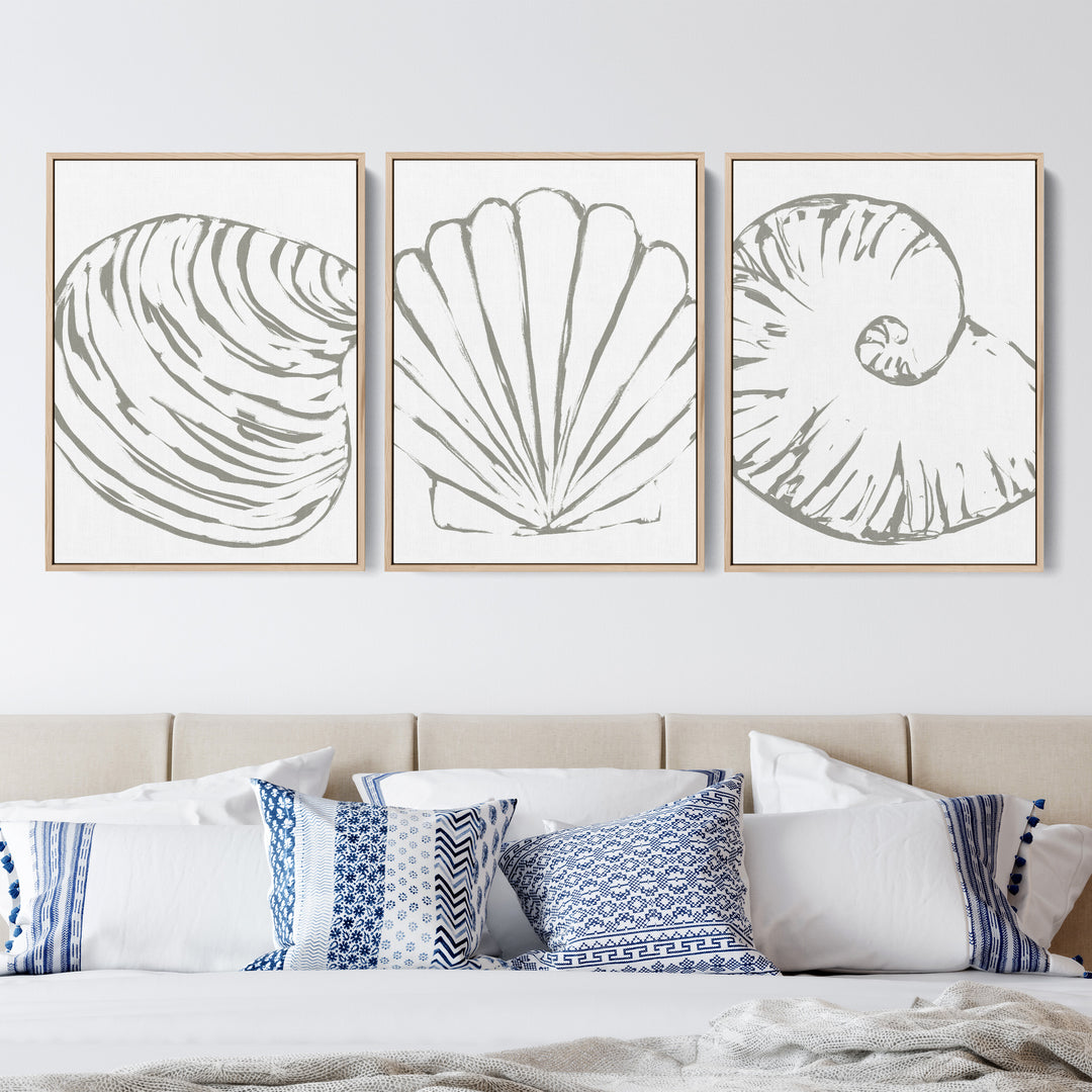 Minimalist Seashell Trio, No. 2 - Set of 3