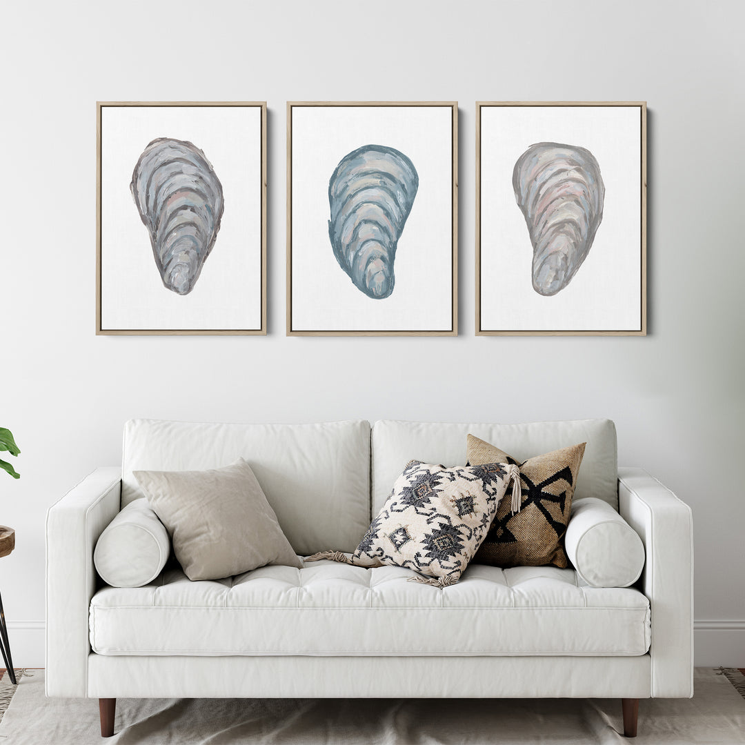 Drifted Mussels Triptych - Set of 3