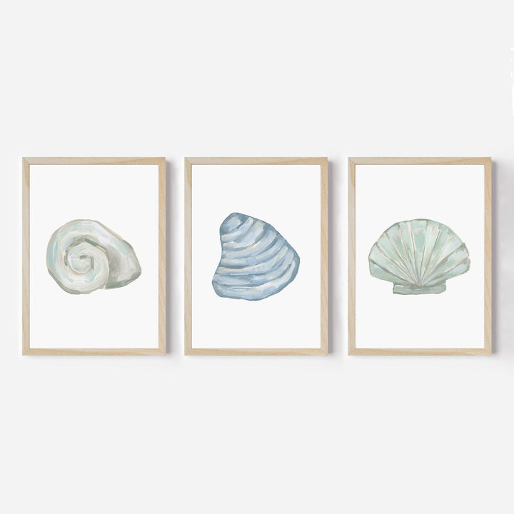 Seashell Trio, No. 2 - Set of 3