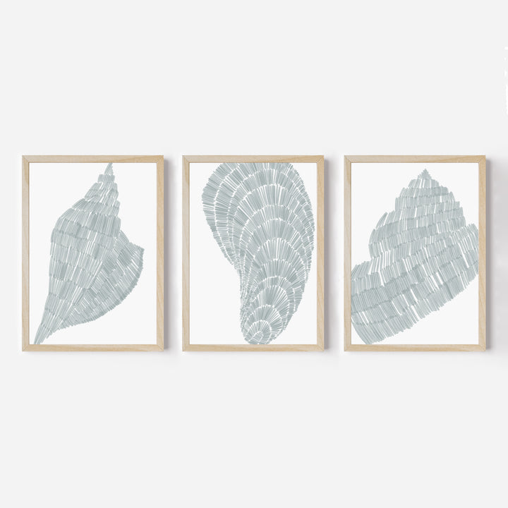 Salty Shells Triptych - Set of 3