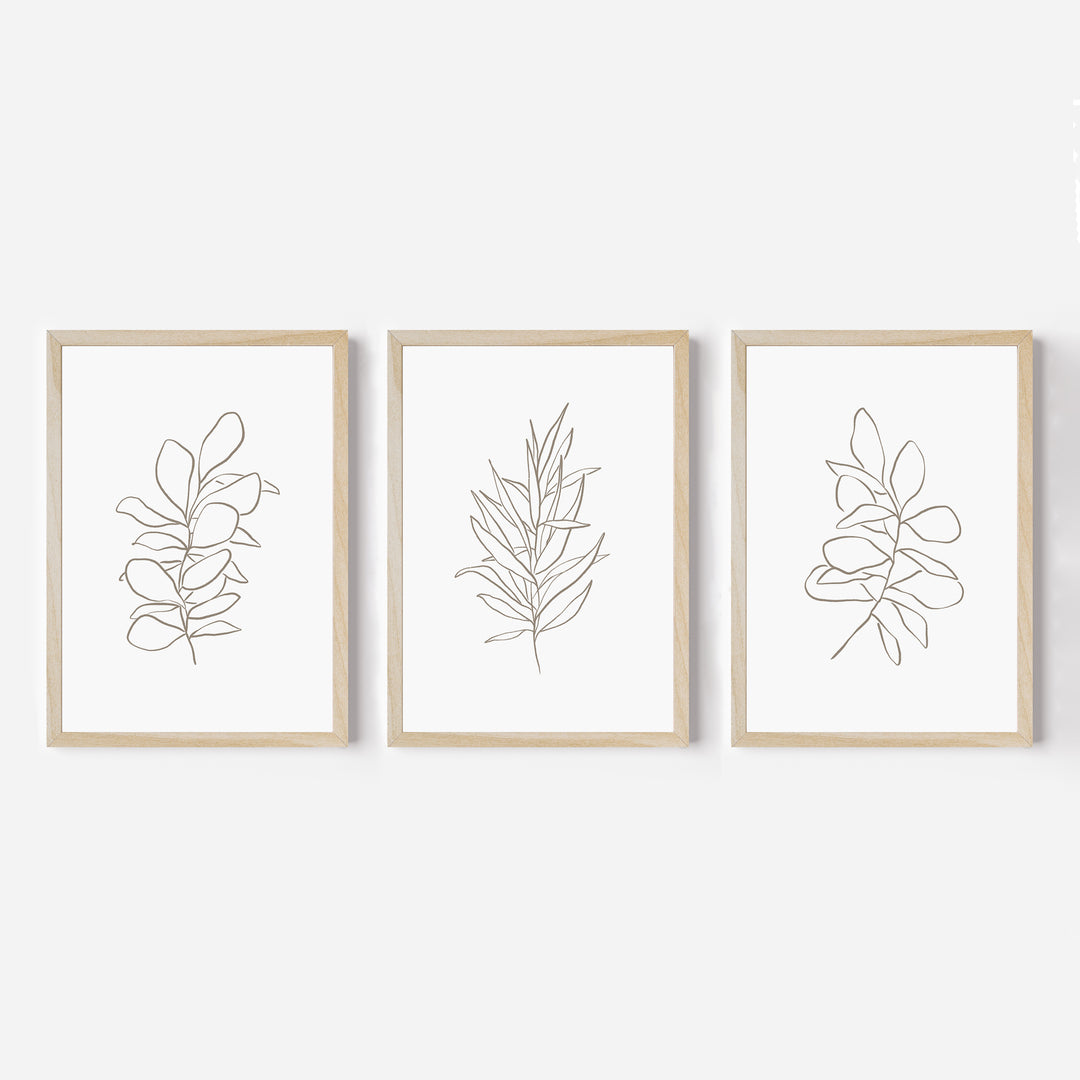 Eucalyptus Plant Illustrations - Set of 3 - Jetty Home
