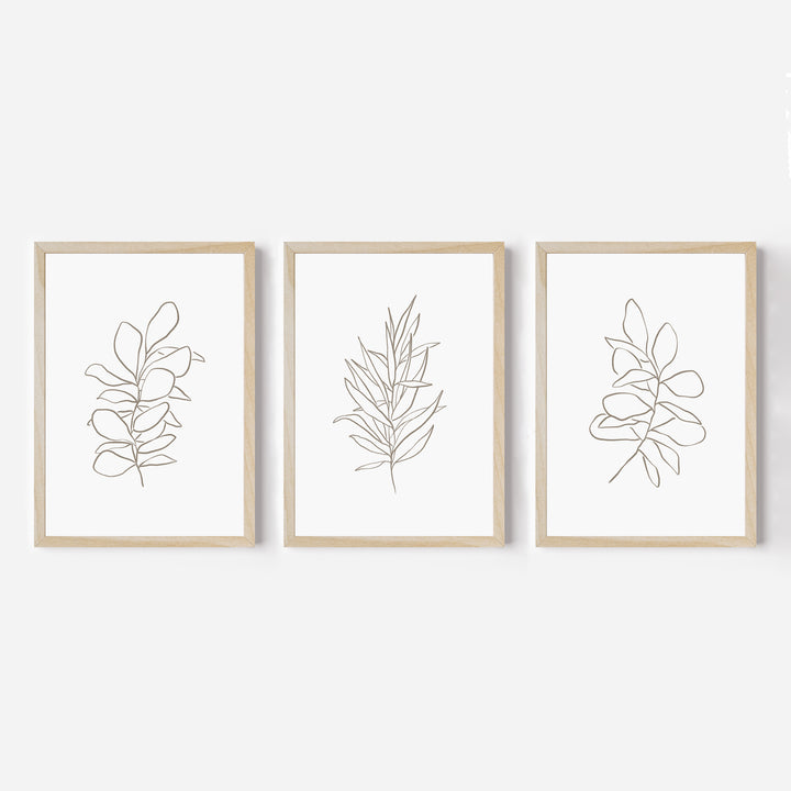 Eucalyptus Plant Illustrations - Set of 3 - Jetty Home