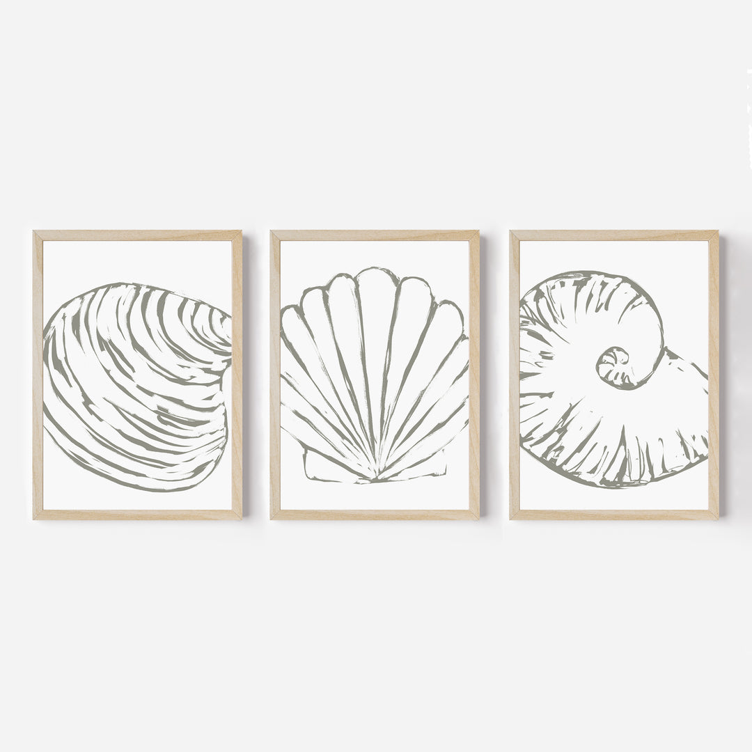 Minimalist Seashell Trio, No. 2 - Set of 3