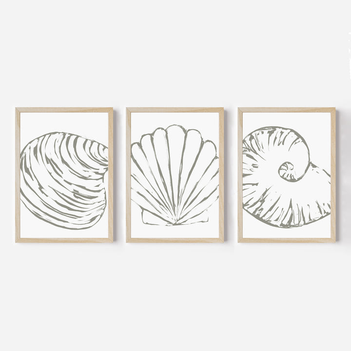 Minimalist Seashell Trio, No. 2 - Set of 3