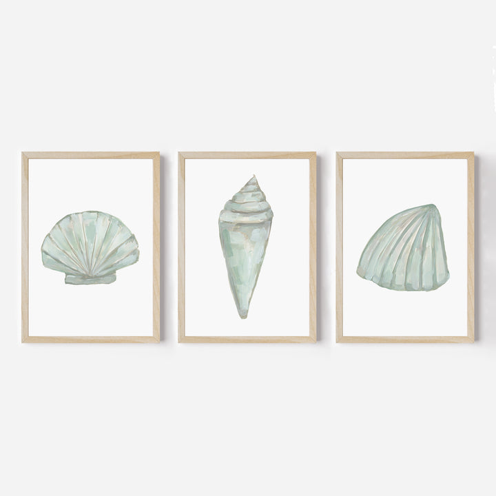 Seashell Trio, No. 1 - Set of 3