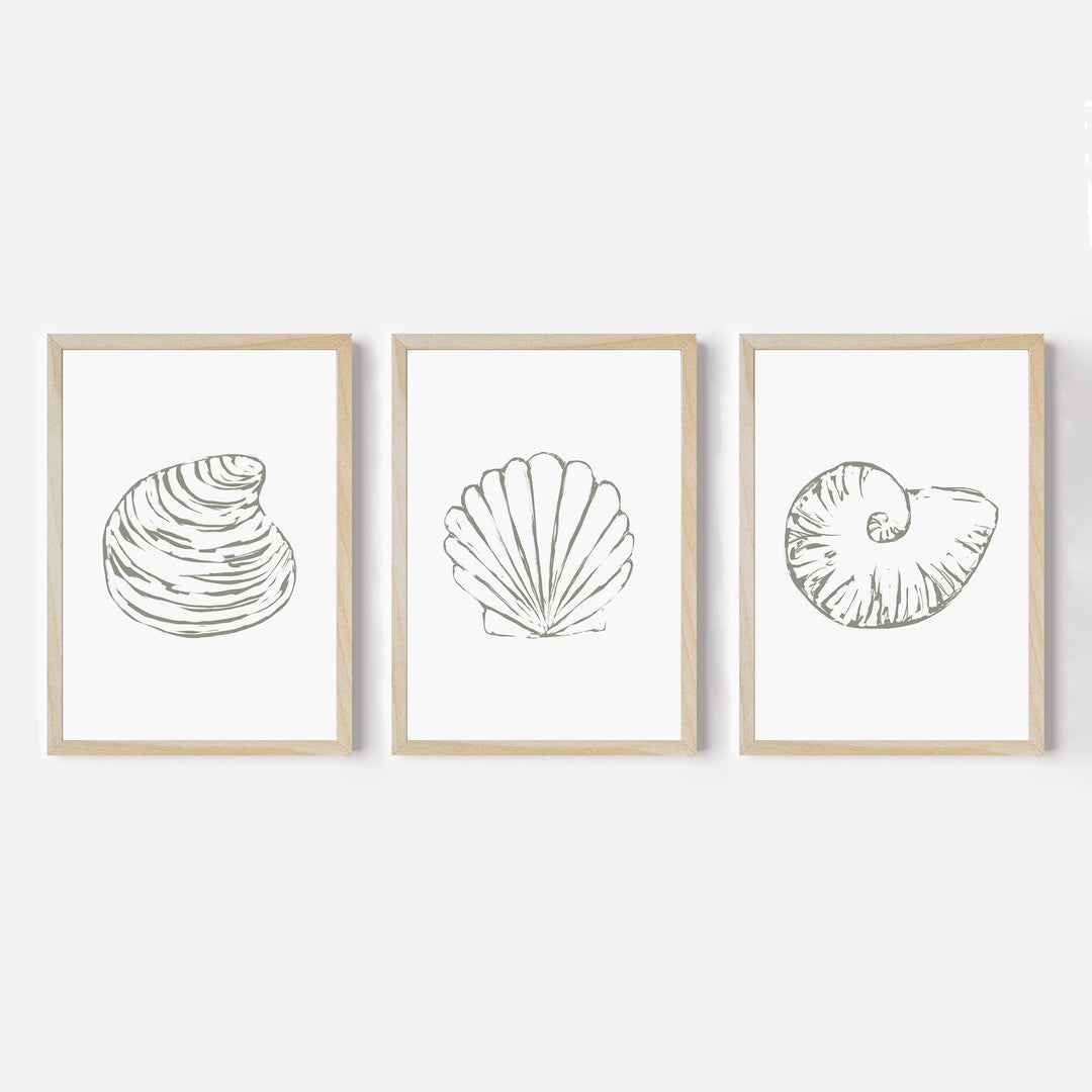 Minimalist Seashell Trio, No. 1 - Set of 3