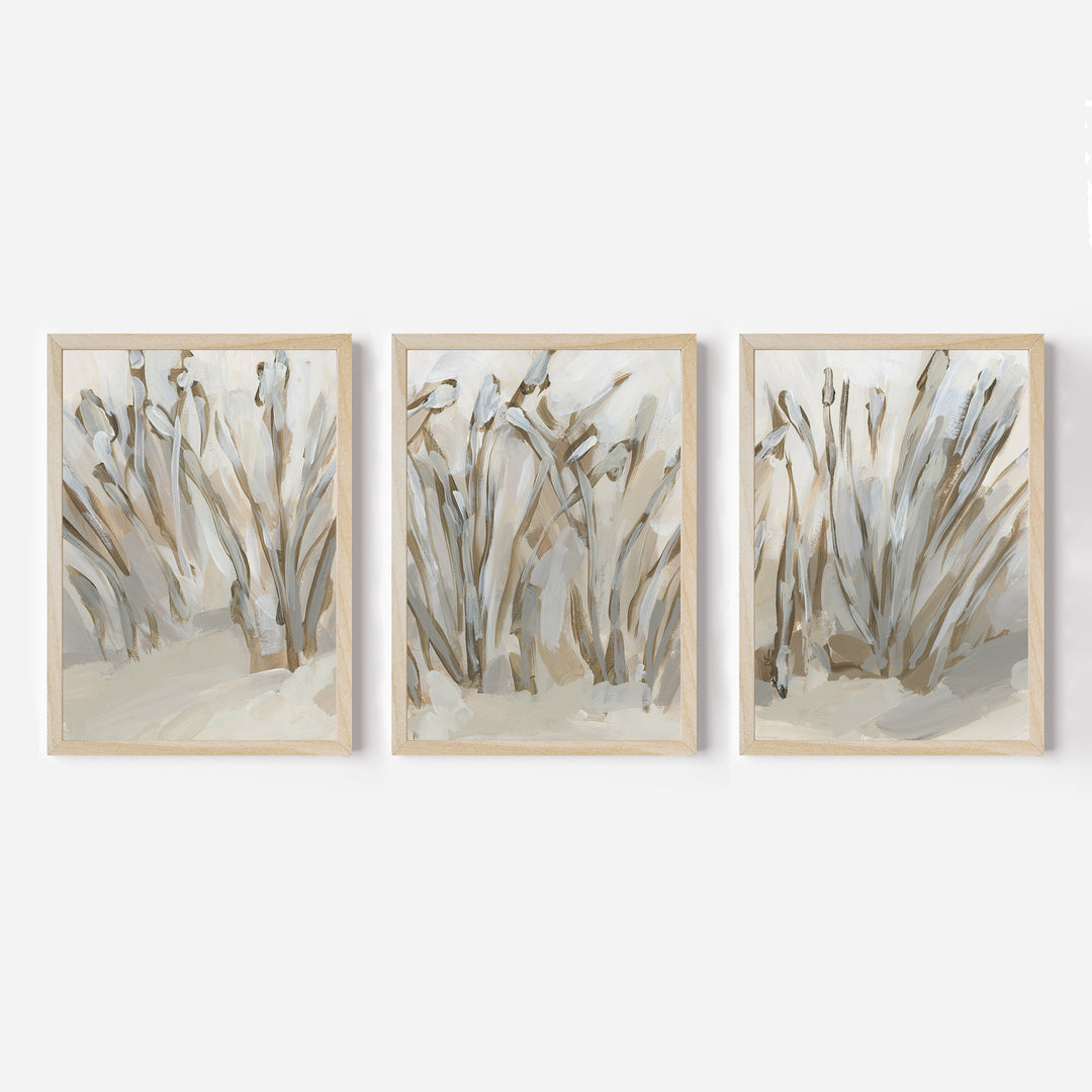 Deep in the Dunes - Set of 3