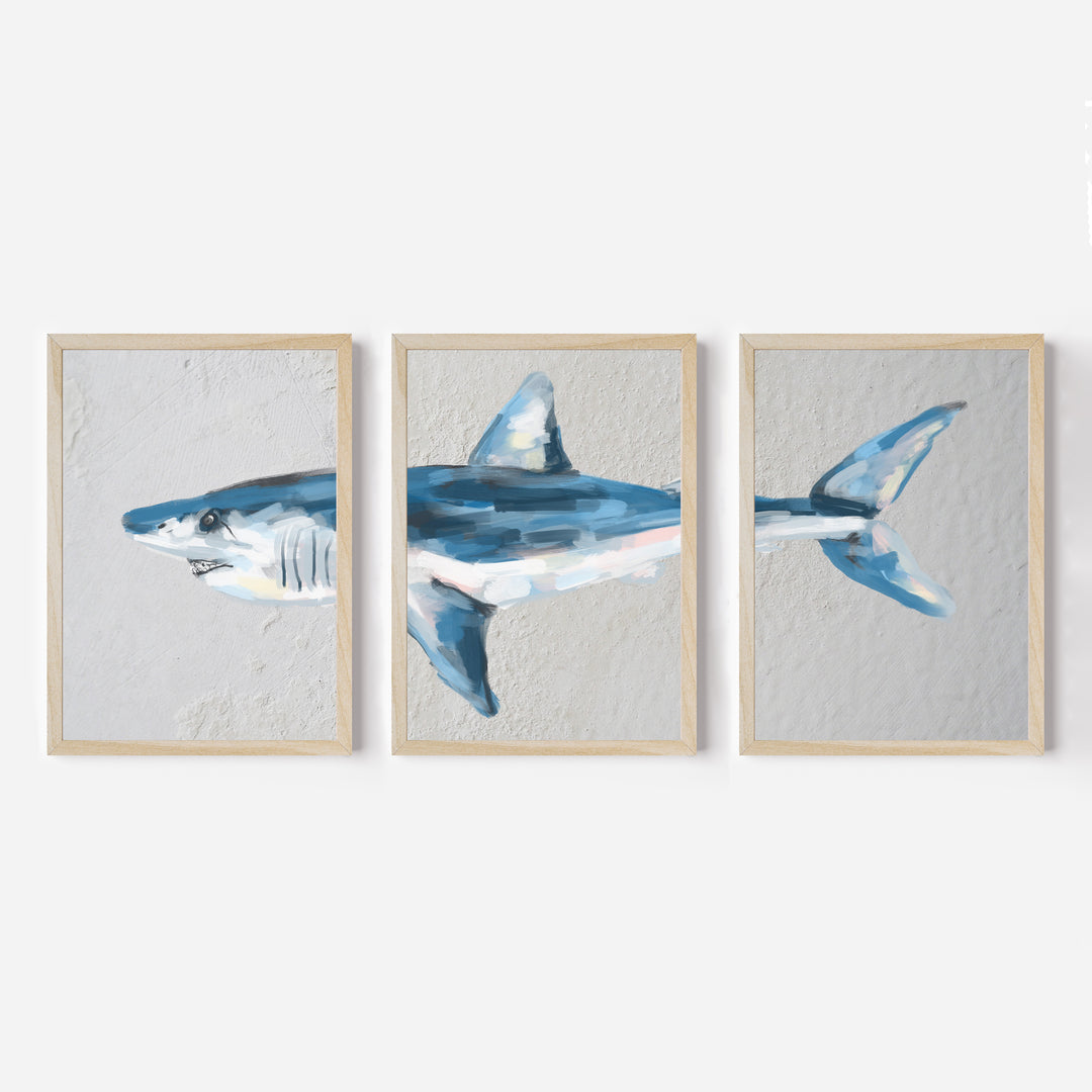 Mako Shark Triptych - Set of 3