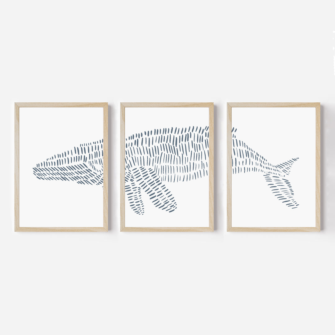Humpback Whale Modern Illustration - Set of 3 - Jetty Home