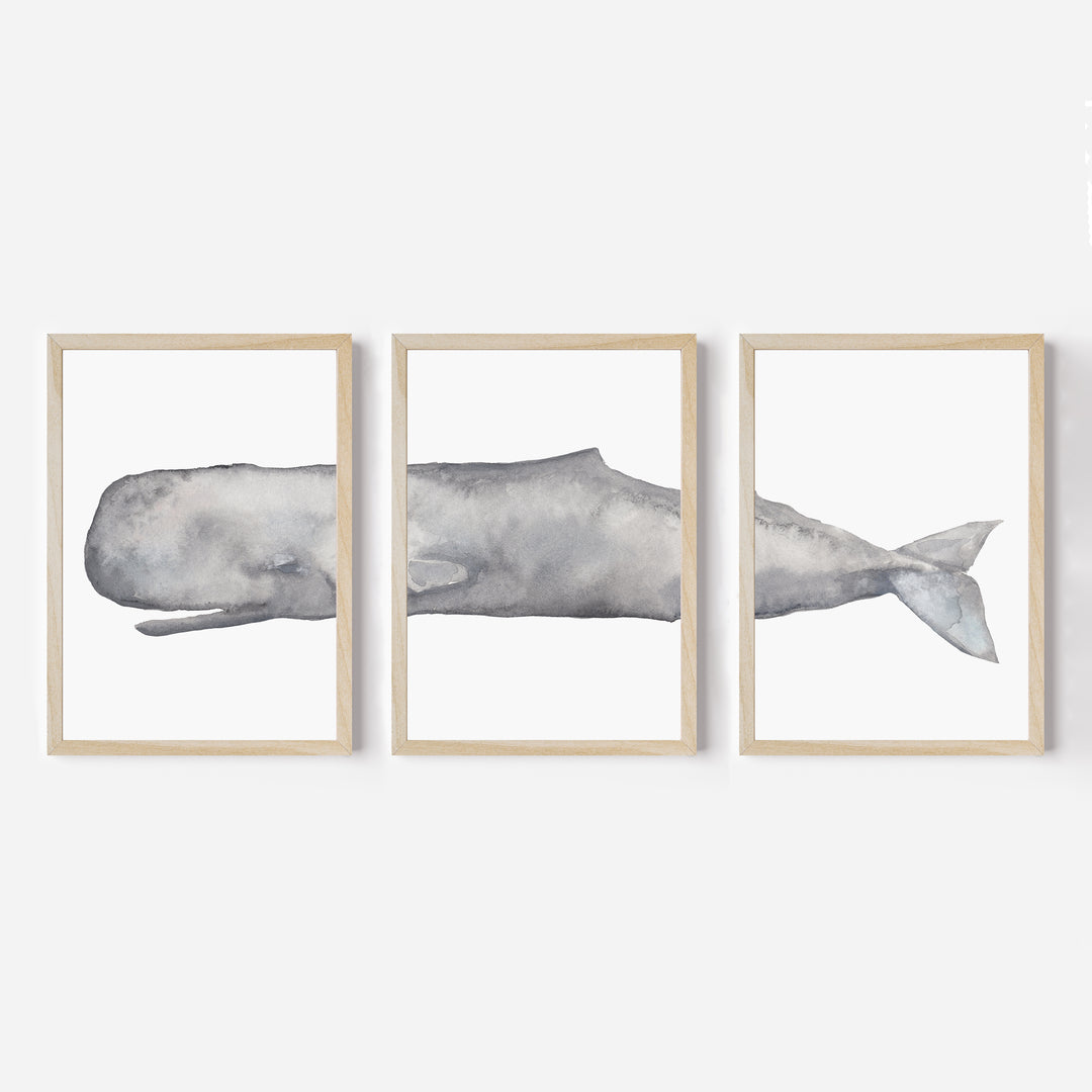 Sperm Whale Watercolor - Set of 3