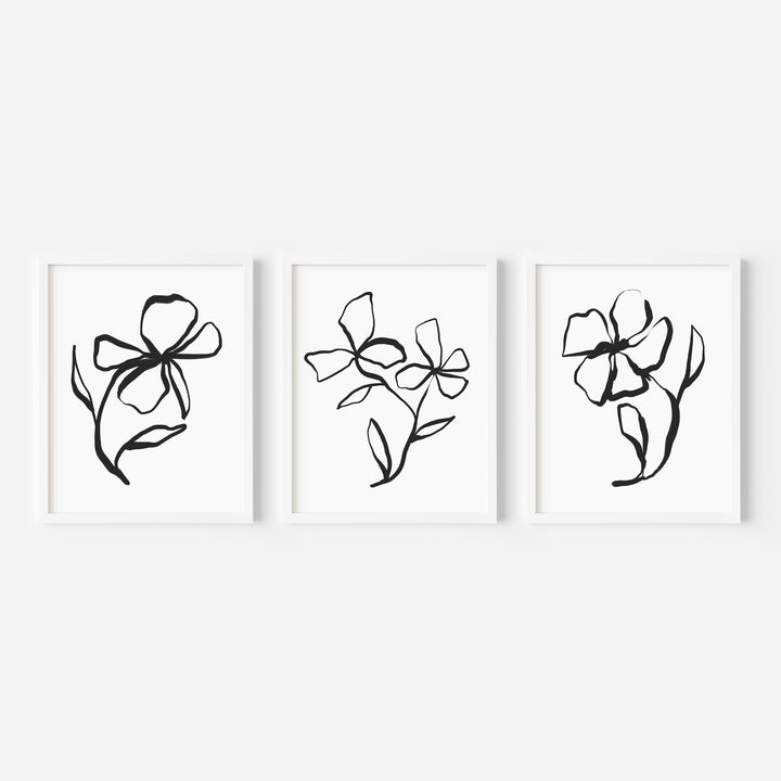 Plant Line Drawings - Set of 3