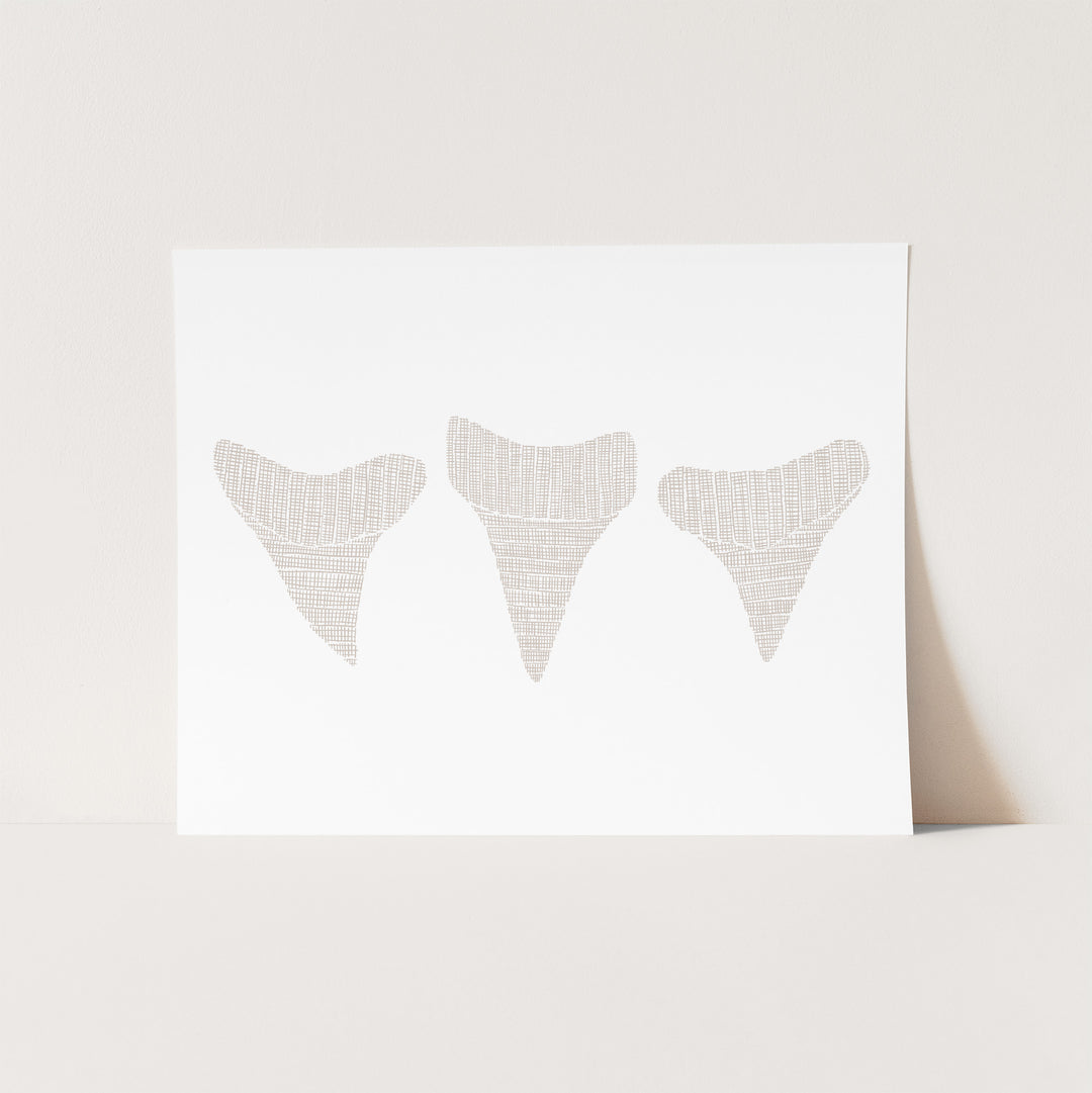 Woven Shark Teeth Trio Illustration