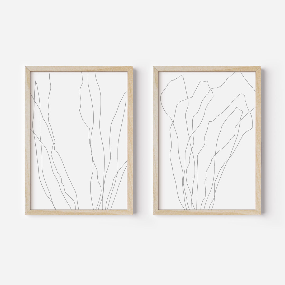 Modern Minimalist Seaweed Illustration - Set of 2