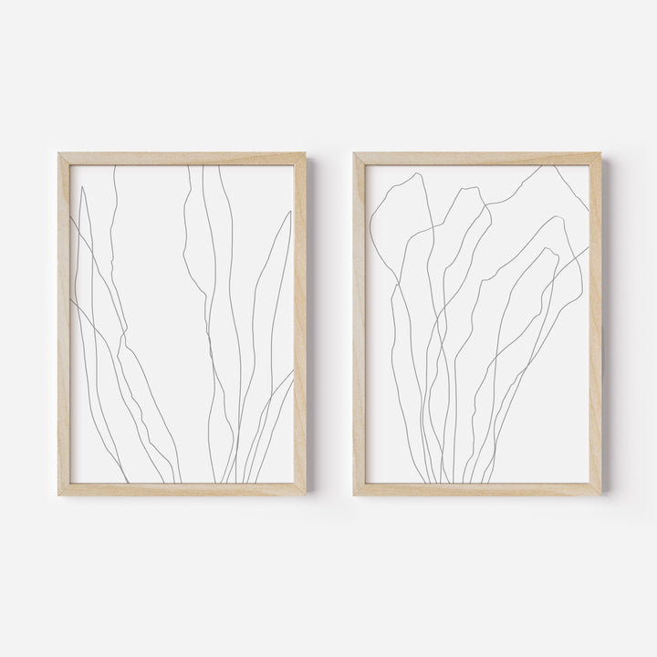 Modern Minimalist Seaweed Illustration - Set of 2