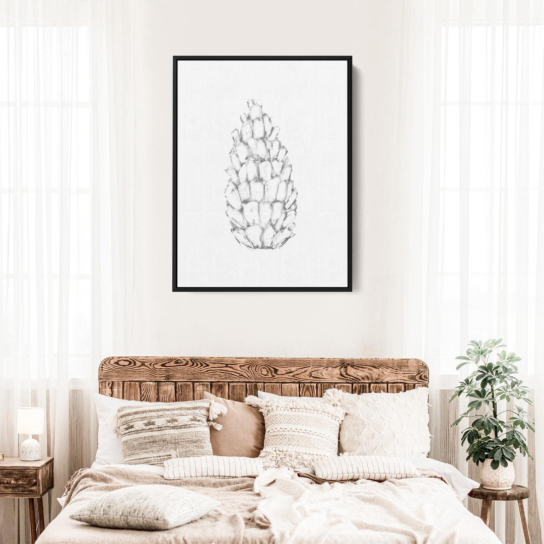 Pine Cone Illustration