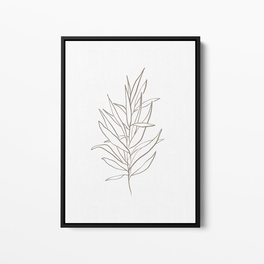 Eucalyptus Drawing, No. 1  - Art Print or Canvas - Jetty Home