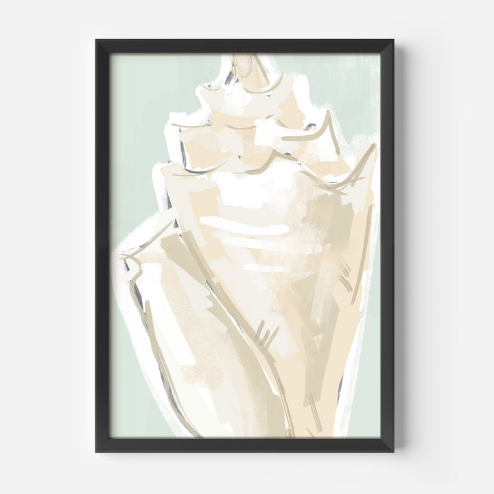 The Summer Conch